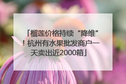 榴莲价格持续“降维”！杭州有水果批发商户一天卖出近2000箱