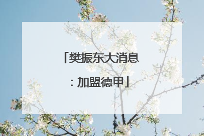 樊振东大消息：加盟德甲