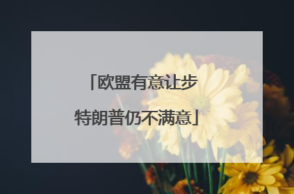 欧盟有意让步 特朗普仍不满意