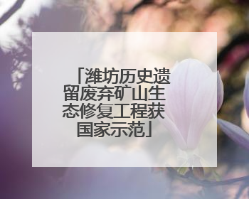 潍坊历史遗留废弃矿山生态修复工程获国家示范