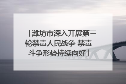 潍坊市深入开展第三轮禁毒人民战争 禁毒斗争形势持续向好