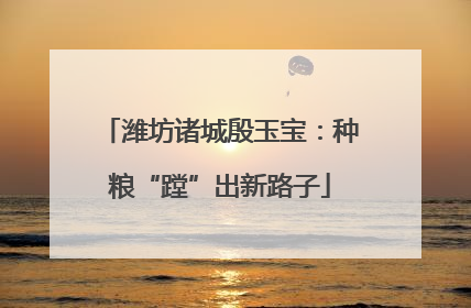 潍坊诸城殷玉宝：种粮“蹚”出新路子