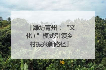 潍坊青州：“文化+”模式引领乡村振兴新路径