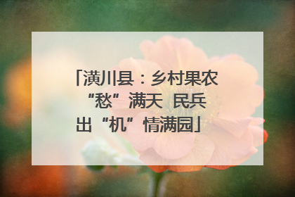 潢川县：乡村果农“愁”满天  民兵出“机”情满园