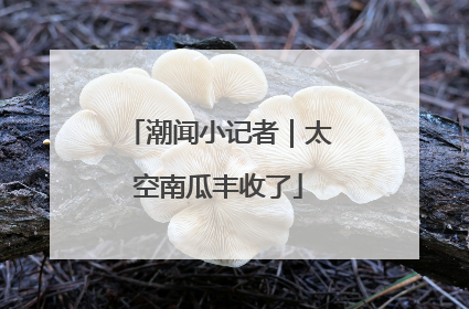 潮闻小记者｜太空南瓜丰收了