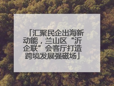 汇聚民企出海新动能，兰山区“沂企联”会客厅打造跨境发展强磁场
