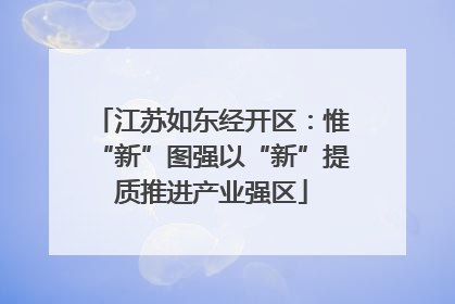 江苏如东经开区：惟“新”图强以“新”提质推进产业强区