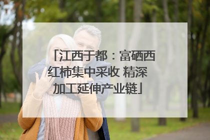 江西于都：富硒西红柿集中采收 精深加工延伸产业链