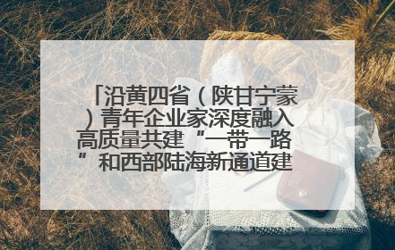 沿黄四省（陕甘宁蒙）青年企业家深度融入高质量共建“一带一路”和西部陆海新通道建设战略合作交流会在甘肃兰州召开