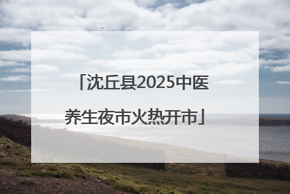 沈丘县2025中医养生夜市火热开市