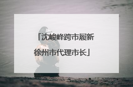 沈峻峰跨市履新徐州市代理市长