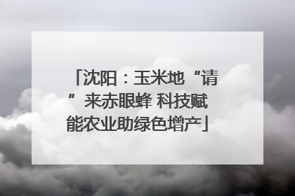 沈阳：玉米地“请”来赤眼蜂 科技赋能农业助绿色增产