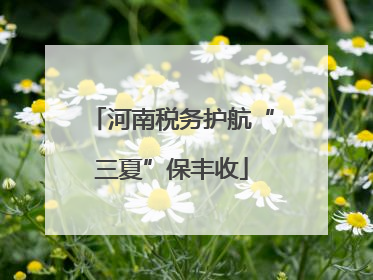 河南税务护航“三夏”保丰收