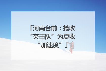 河南台前：抢收“突击队”为夏收“加速度”