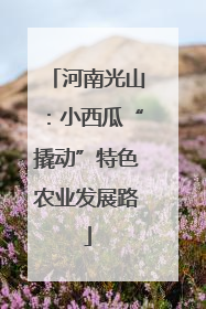 河南光山：小西瓜“撬动”特色农业发展路