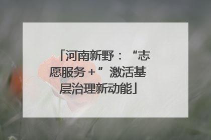 河南新野：“志愿服务＋”激活基层治理新动能