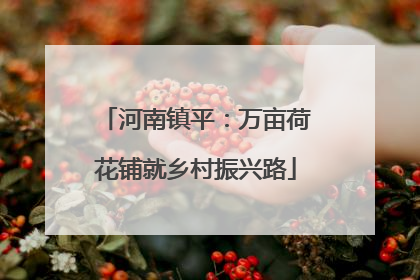 河南镇平：万亩荷花铺就乡村振兴路