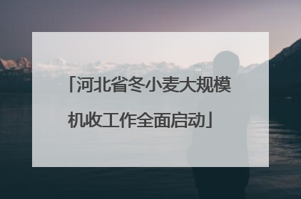 河北省冬小麦大规模机收工作全面启动