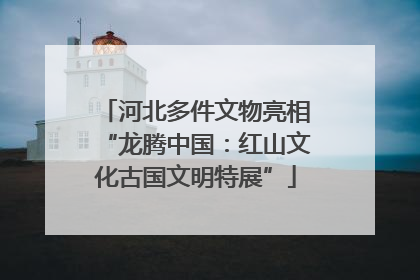河北多件文物亮相“龙腾中国：红山文化古国文明特展”