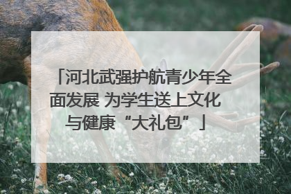 河北武强护航青少年全面发展 为学生送上文化与健康“大礼包”