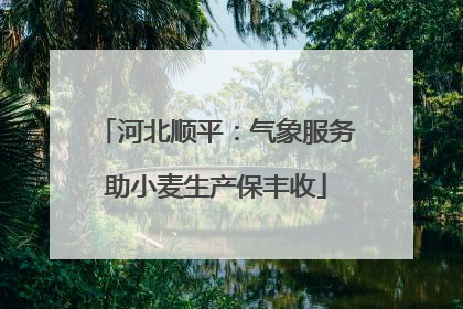 河北顺平：气象服务助小麦生产保丰收