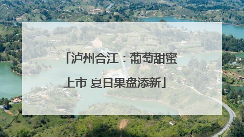 泸州合江：葡萄甜蜜上市 夏日果盘添新
