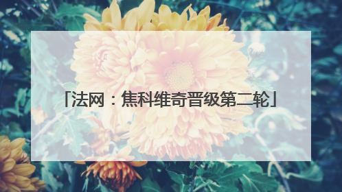 法网：焦科维奇晋级第二轮