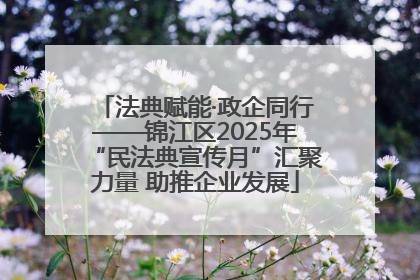 法典赋能·政企同行——锦江区2025年“民法典宣传月”汇聚力量 助推企业发展
