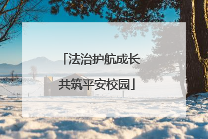 法治护航成长 共筑平安校园