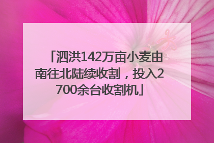 泗洪142万亩小麦由南往北陆续收割，投入2700余台收割机