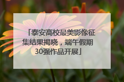 泰安高校最美影像征集结果揭晓，端午假期30强作品开展