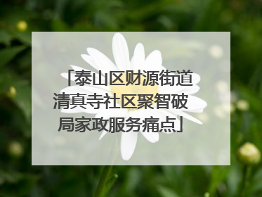 泰山区财源街道清真寺社区聚智破局家政服务痛点