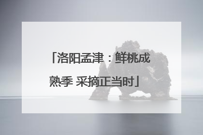 洛阳孟津：鲜桃成熟季 采摘正当时