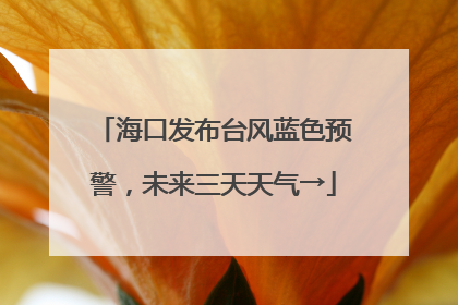 海口发布台风蓝色预警，未来三天天气→