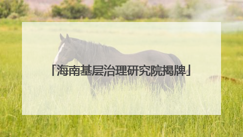 海南基层治理研究院揭牌