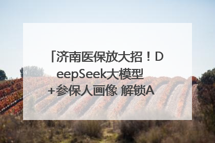 济南医保放大招！DeepSeek大模型+参保人画像 解锁AI医保管家新体验