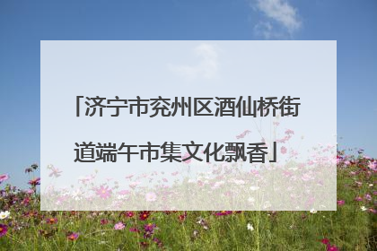 济宁市兖州区酒仙桥街道端午市集文化飘香