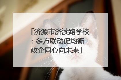 济源市济渎路学校：多方联动促均衡 政企同心向未来