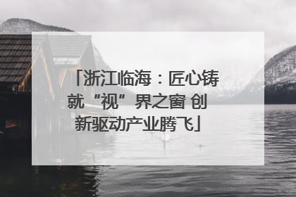 浙江临海：匠心铸就“视”界之窗 创新驱动产业腾飞