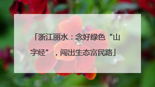 浙江丽水：念好绿色“山字经”，闯出生态富民路