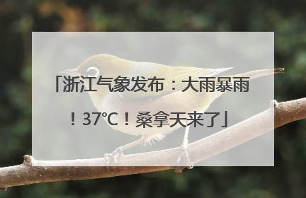 浙江气象发布：大雨暴雨！37℃！桑拿天来了