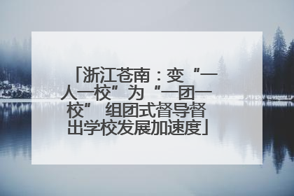 浙江苍南：变“一人一校”为“一团一校” 组团式督导督出学校发展加速度