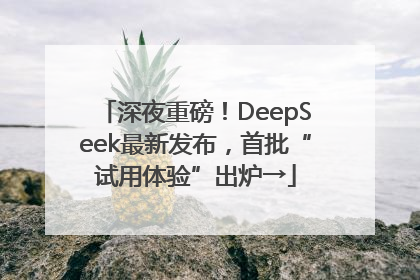 深夜重磅！DeepSeek最新发布，首批“试用体验”出炉→