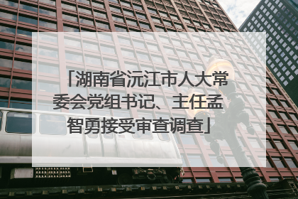 湖南省沅江市人大常委会党组书记、主任孟智勇接受审查调查