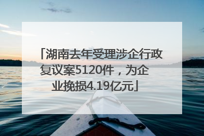 湖南去年受理涉企行政复议案5120件，为企业挽损4.19亿元