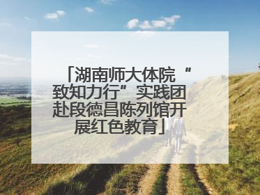湖南师大体院“致知力行”实践团赴段德昌陈列馆开展红色教育