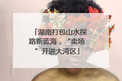 湖南打包山水探路新蓝海，“卖场”开进大湾区