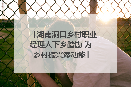 湖南洞口乡村职业经理人下乡踏勘 为乡村振兴添动能