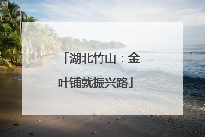 湖北竹山：金叶铺就振兴路