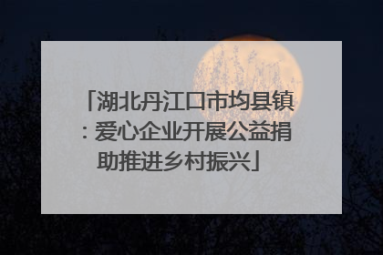 湖北丹江口市均县镇：爱心企业开展公益捐助推进乡村振兴